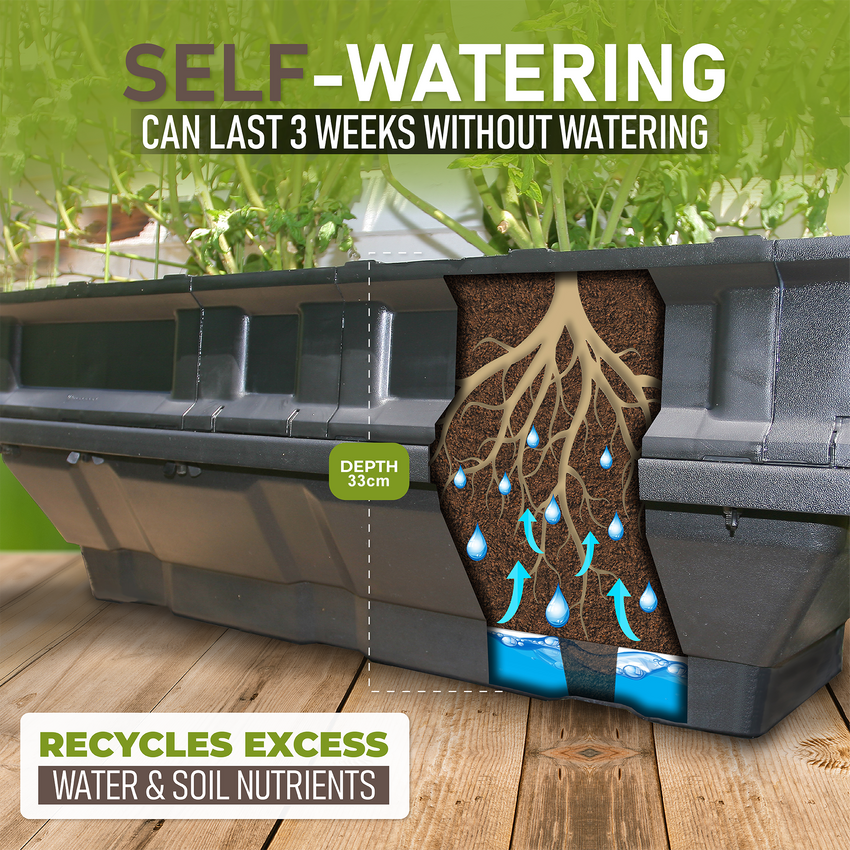 Self-watering features