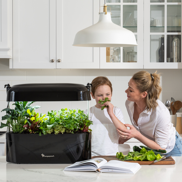 plant growing kit indoor Kitchen Garden Black