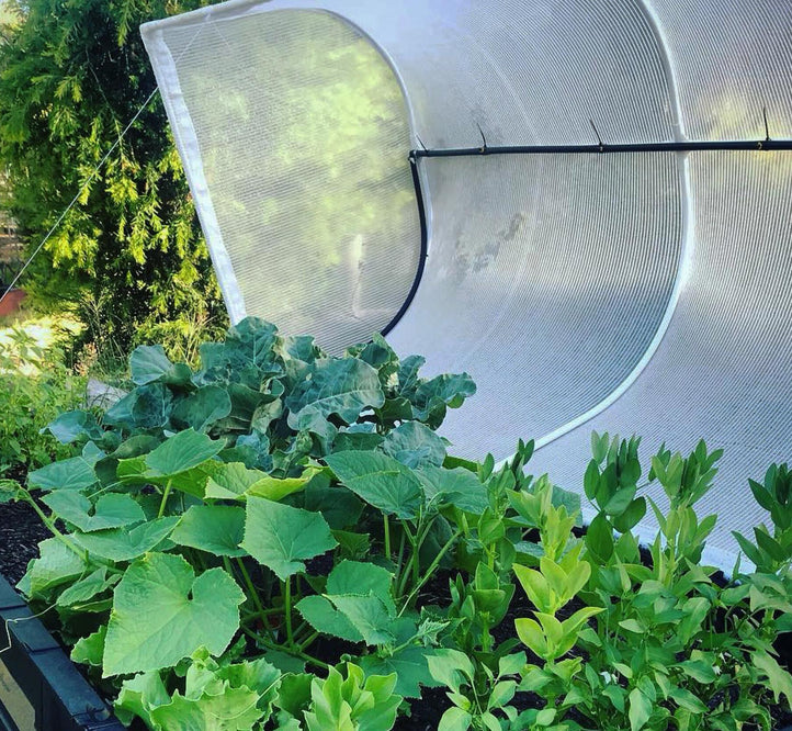 The Benefits of Our Micro-Climate Garden Cover