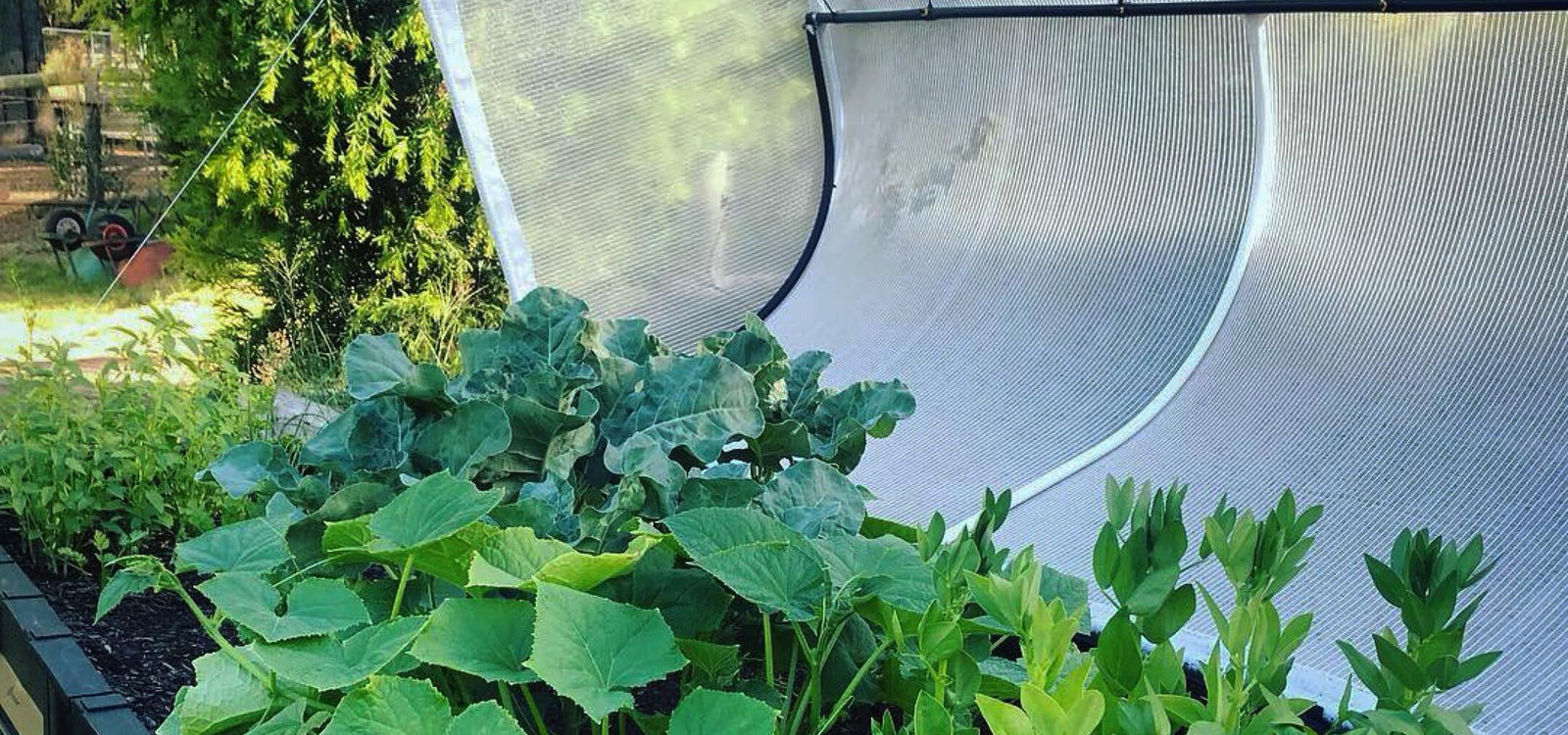 The Benefits of Our Micro-Climate Garden Cover