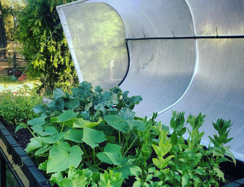 Vegepod Garden Snips | USA