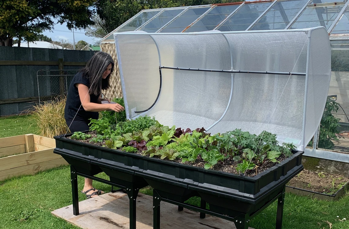 Pod-to-Plate: Michelle Yandle's Super Green Kale Smoothie