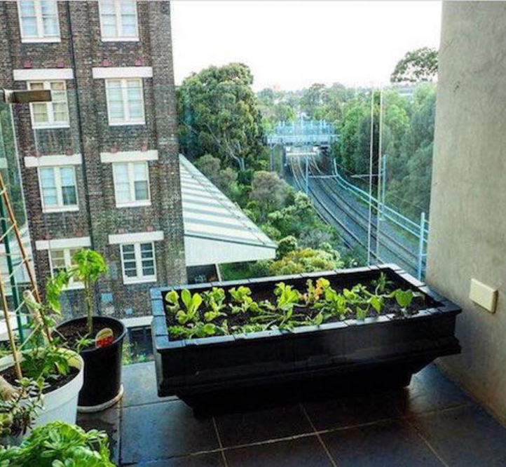 The Vegepod Raised Garden Bed Makes Urban Farming Easy