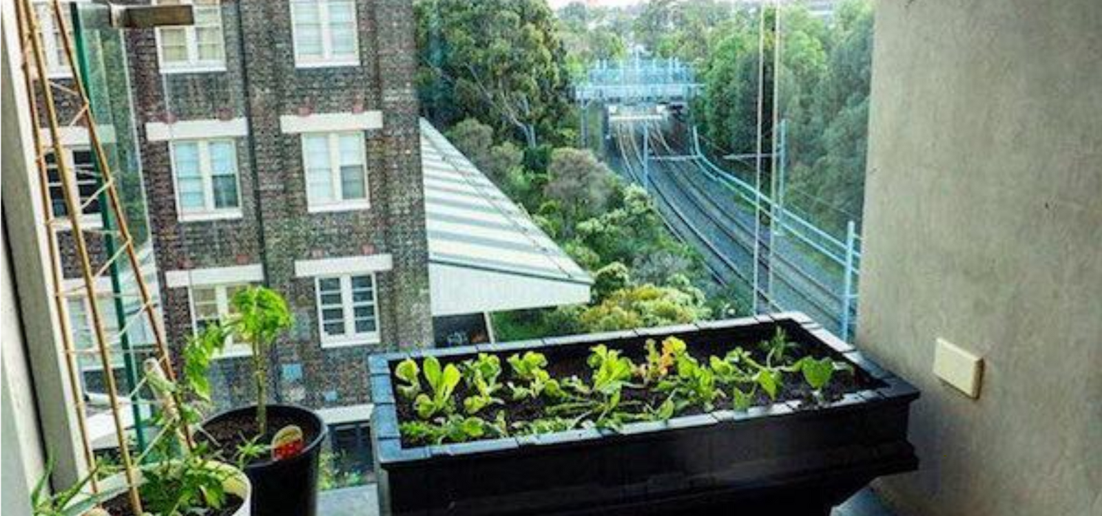 The Vegepod Raised Garden Bed Makes Urban Farming Easy