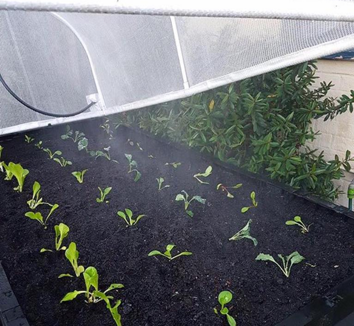 The Vegepod's Self-Watering, Wicking System Explained