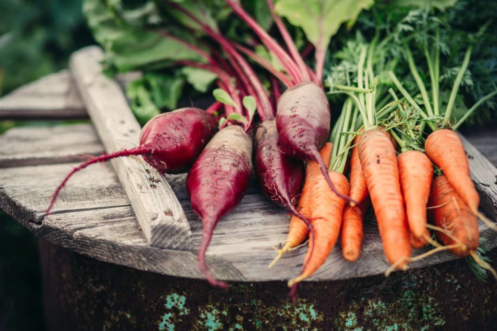 From Pod to Plate: Growing Your Dinner With Garden Vegetables