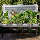 Large Stand