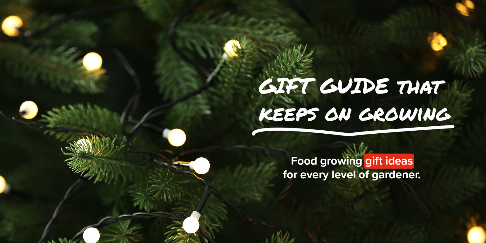Food growing gift ideas for every gardener