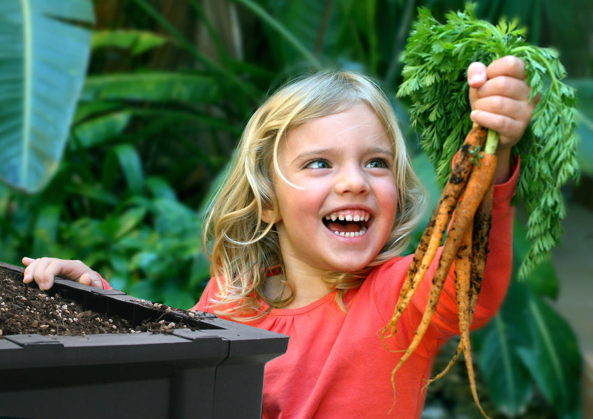Girl pulling carrots from a Vegepod