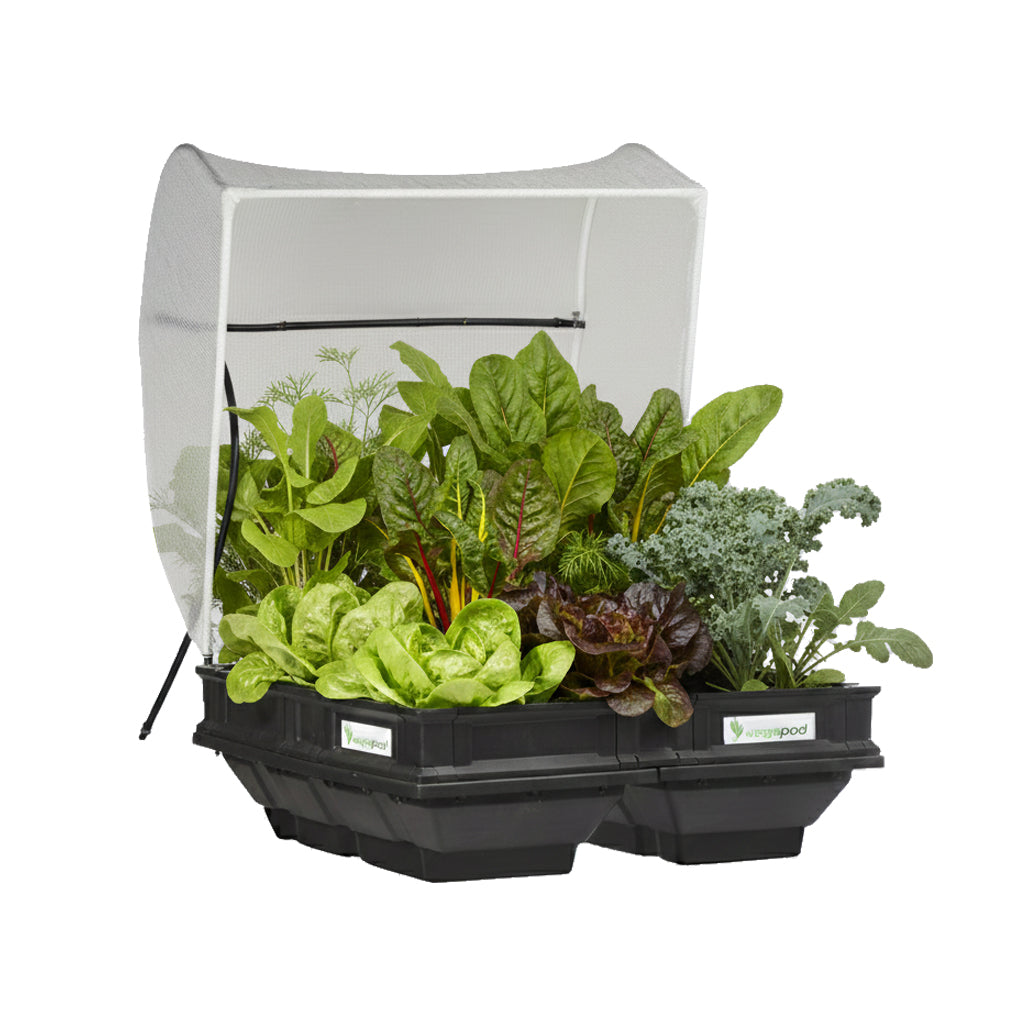 Medium Raised Garden Bed with Garden Cover