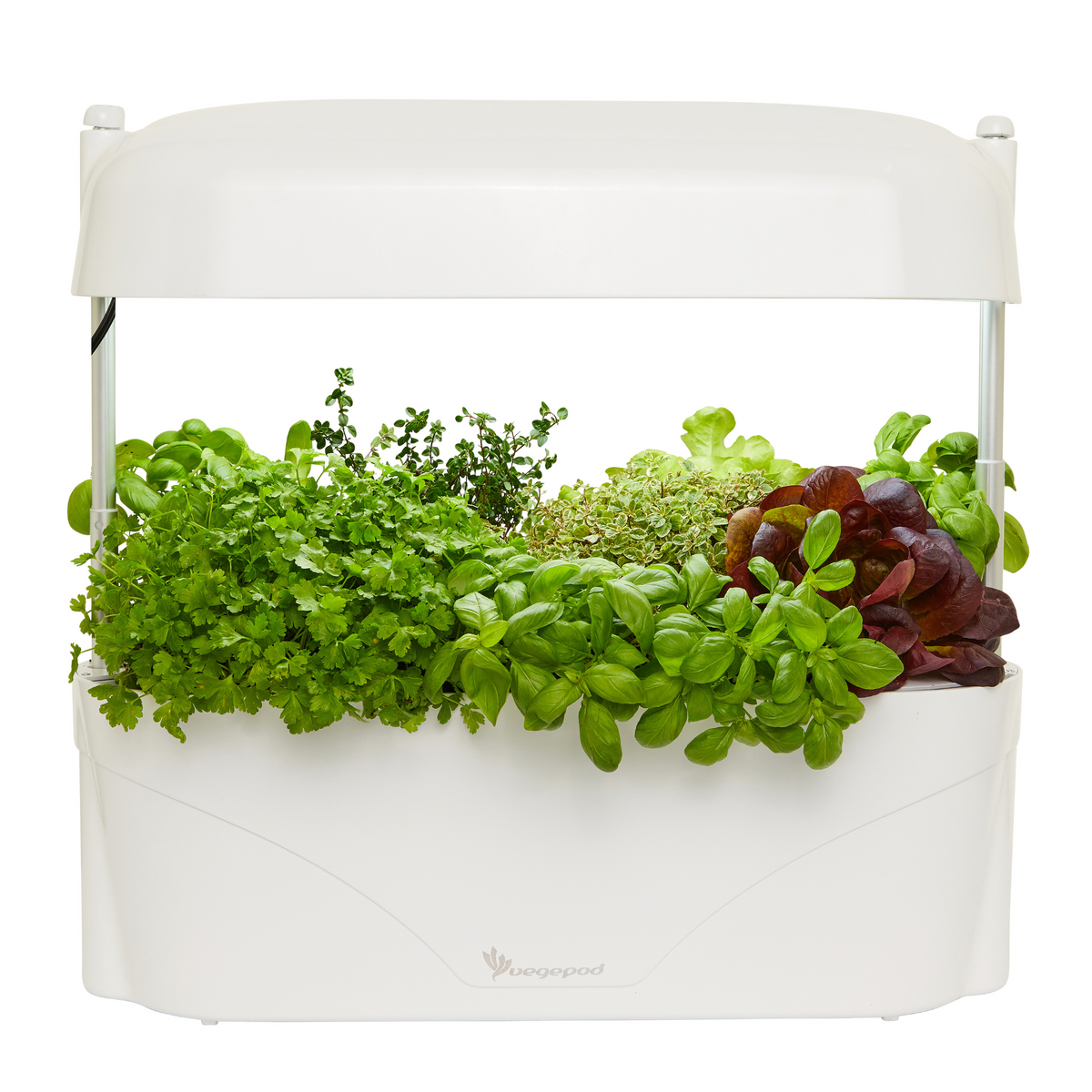 plant indoor vegetable garden Kitchen Garden White | Indoor Vegetable Grow Kit