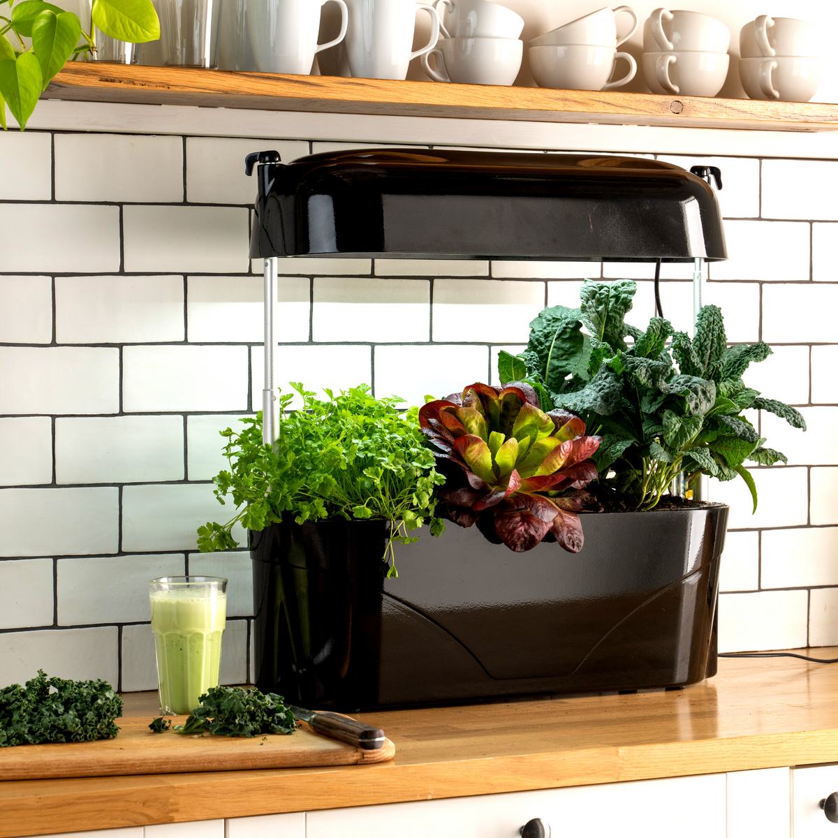 Smoothie from a Kitchen Garden