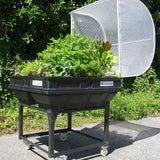 Medium Vegepod growing vegetables on trolley wheels