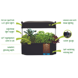 Kitchen Garden Infographic