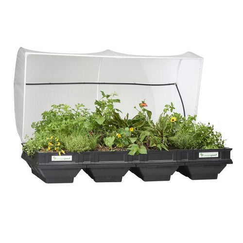 Large Hothouse Cover (PVC Cover only)