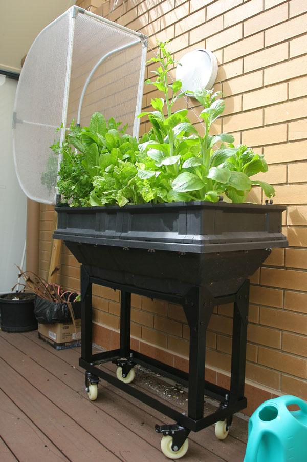 Small Raised Planter Stands